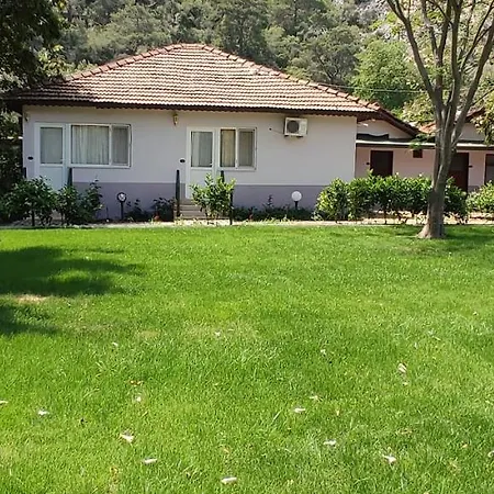 Garden Cirali קמר