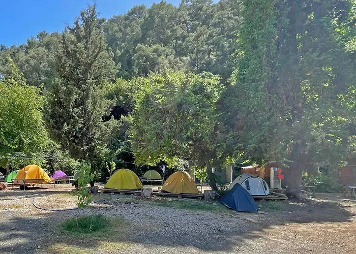 منزل للإقامة Garden Cirali كمر