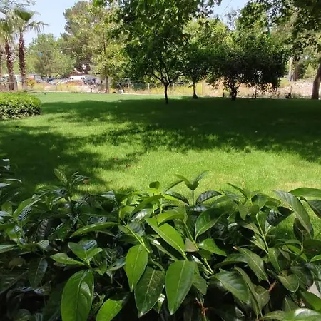 Проживание в семье Garden Cirali *