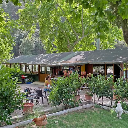 Homestay Garden Cirali *