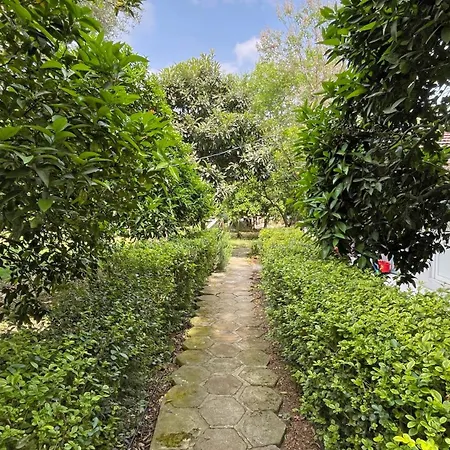 Homestay Garden Cirali *