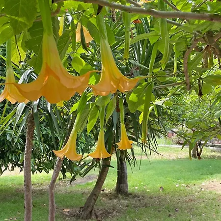 Garden Cirali Kemer