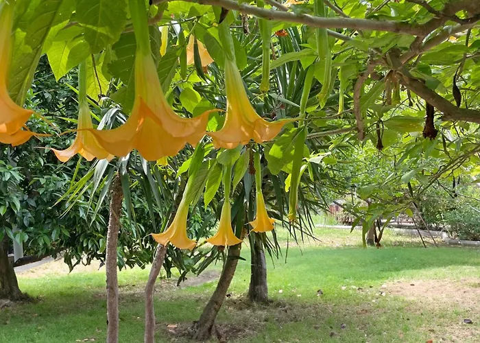 Garden Cirali Kemer