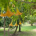 Garden çıralı Kemer